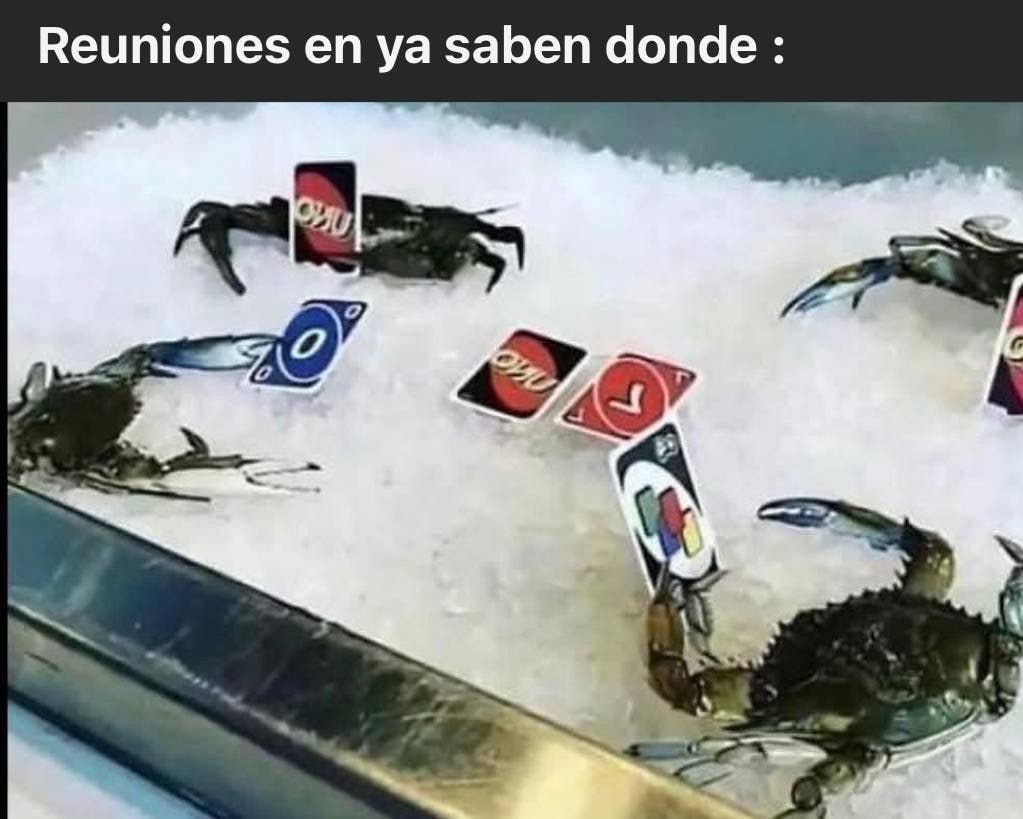 Cangrejos jugando al UNO - meme