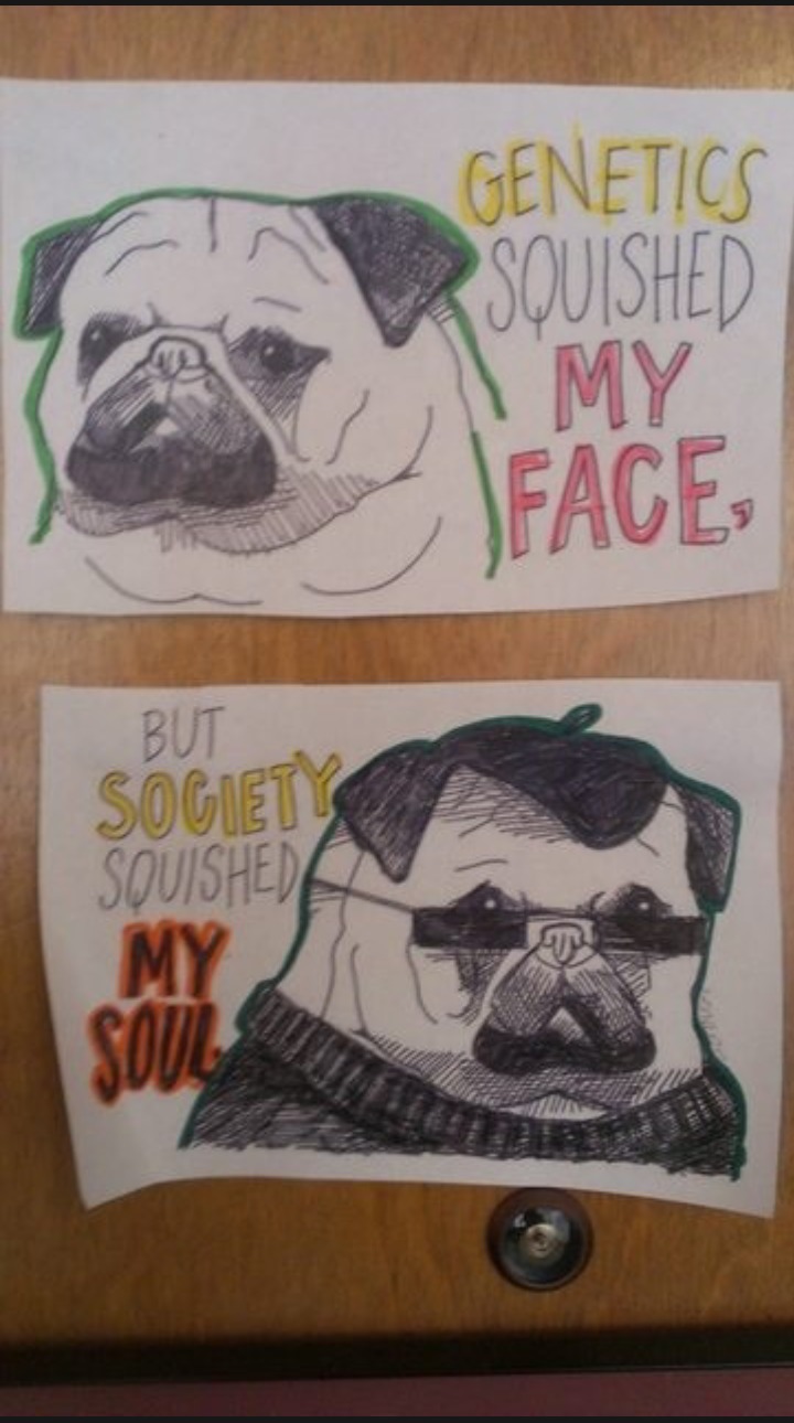 Physically ugly by design, emotionally ugly by circumstance - meme
