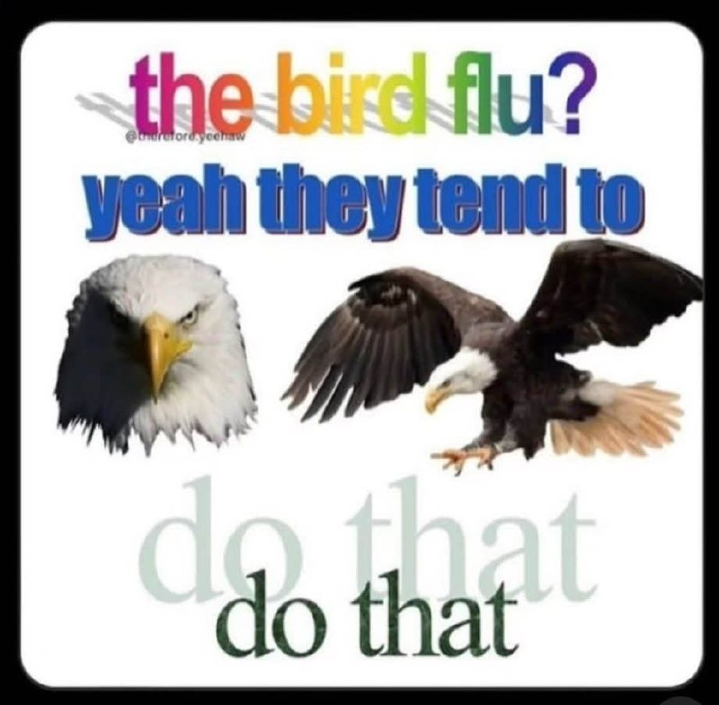 bird flu? yeah they do be tending to that - meme