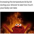 Can endure lava temperatures