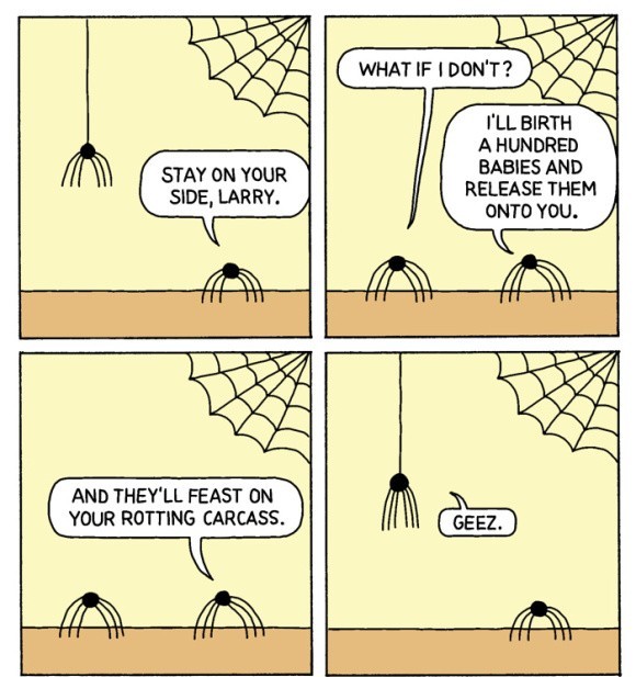 Spiders are scary - meme