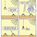 Spiders are scary