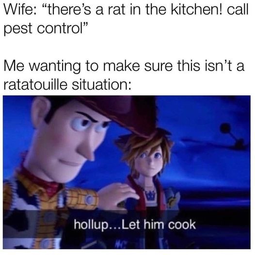 bubonic plague - meme