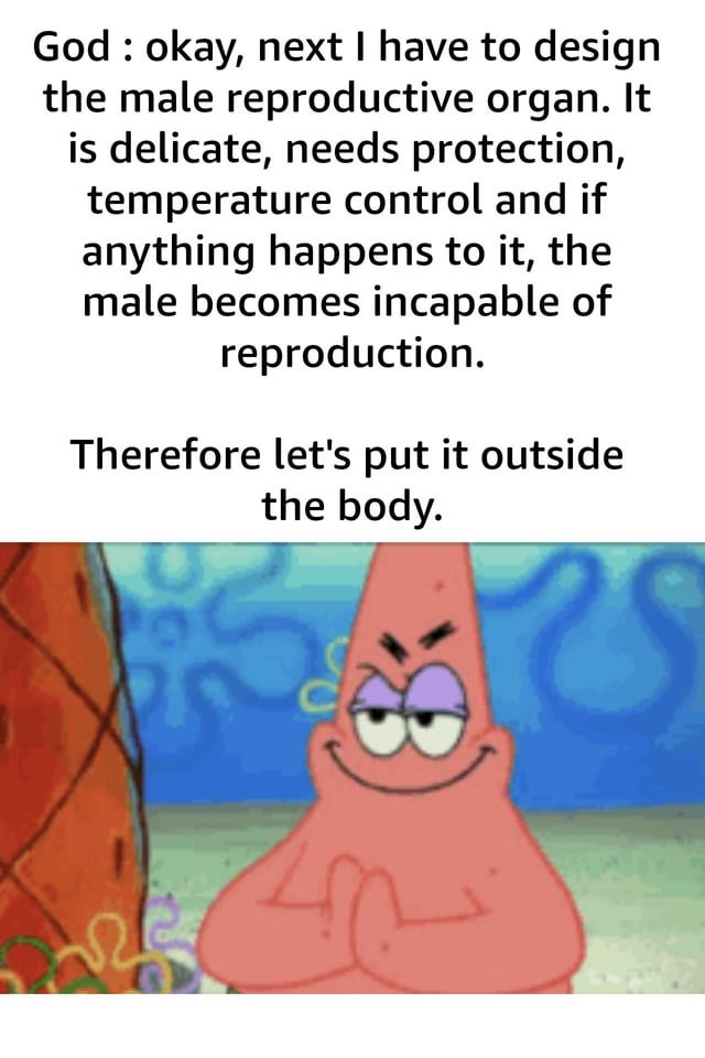 God designing the male reproductive organ - meme