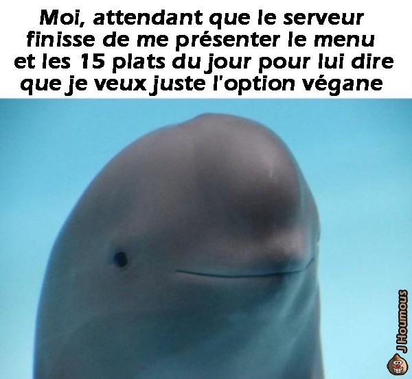 Option végane - meme