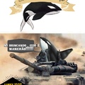 a baleia assassina