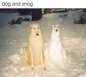 Snow Borks - meme