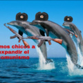 Delfines comunista