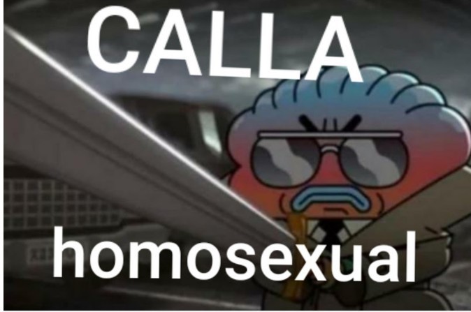 Calla homosexual - meme