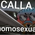 Calla homosexual