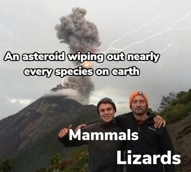 Lizards - meme