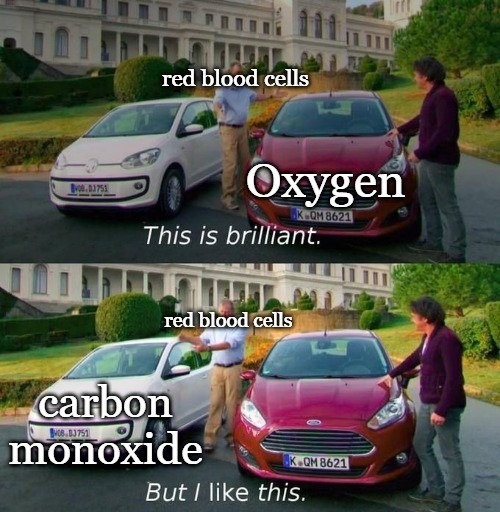 This is why carbon monoxide is bad - meme