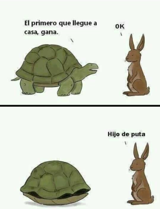 Ustedes que opinan de las tortugas? - Meme by Madagascar-oficial ...