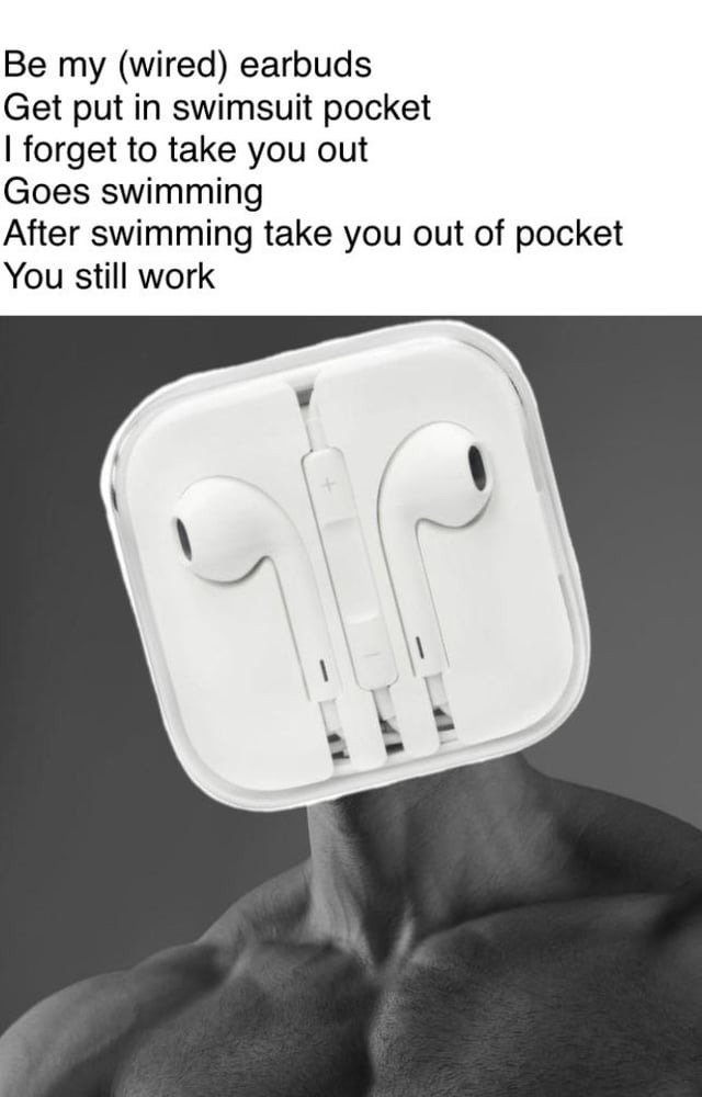 wired earbuds - meme