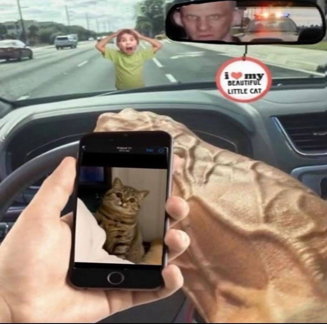 Todo lo que a sucedido vale la pena pará ver al gato - meme