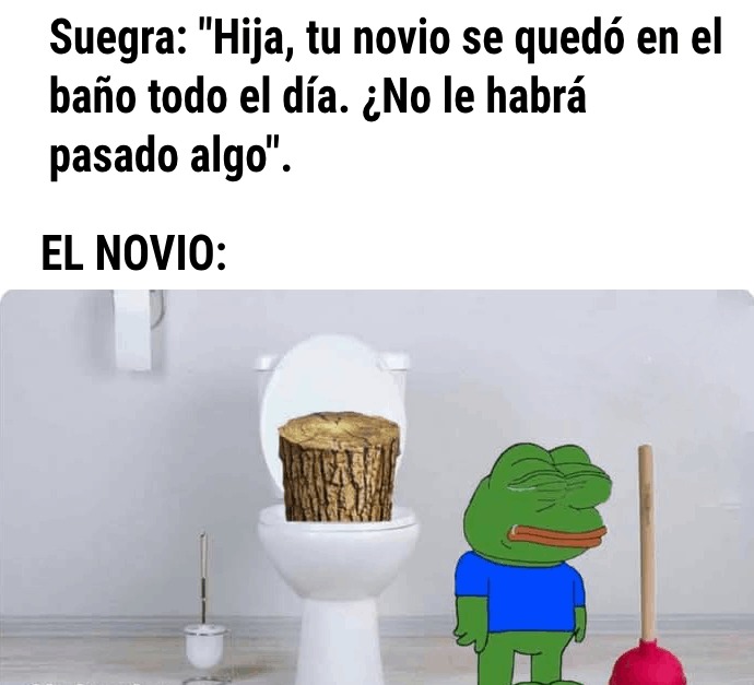 Cuando vas al baño de tu novia y la tusa que hiciste, no se va con nada. - meme