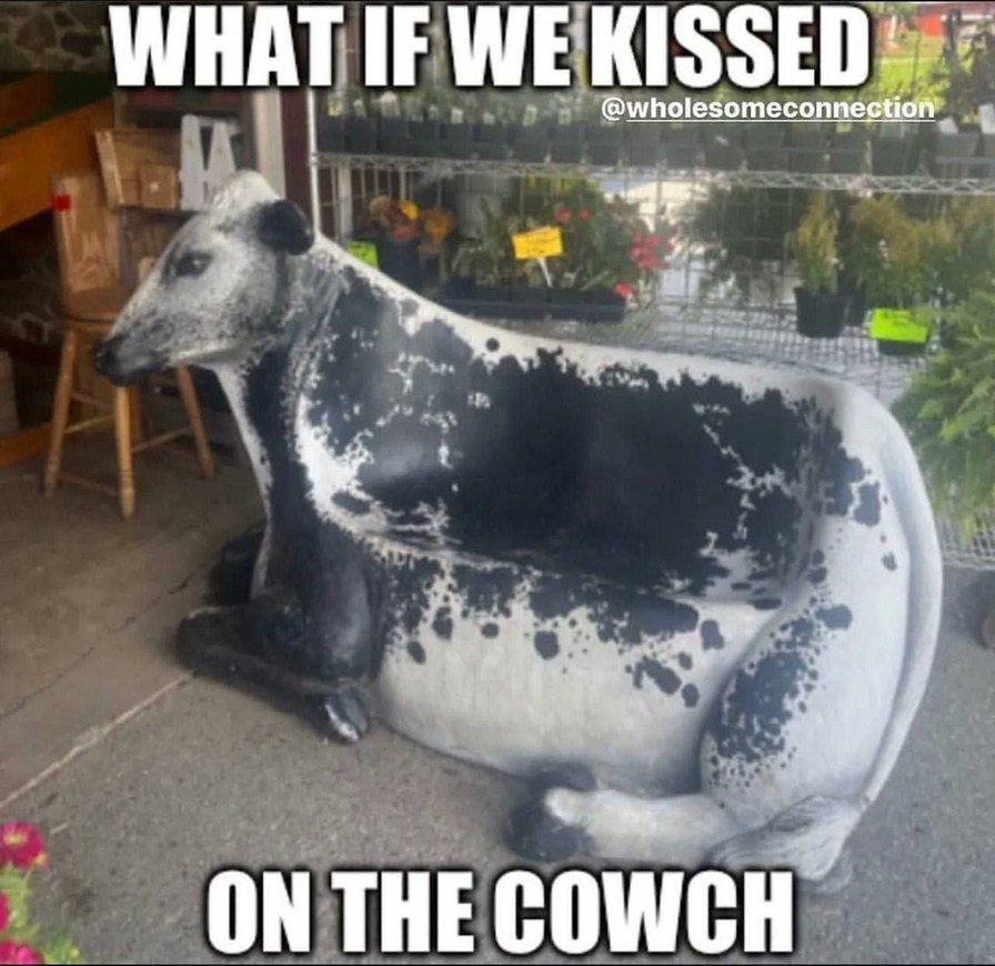 What if we kissed… on the couch… ironically - meme