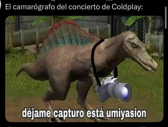 camarógrafo en bucle chistoso - meme