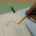 como dibujan un caballo los italianos