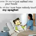 Somebody toucha my spaghet