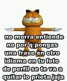 Top Memes De T Pose En Espanol Memedroid - las 13 mejores imágenes de roblox en 2019 meme gato