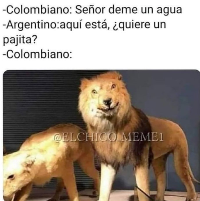 Solo los colombianos entenderemos - meme