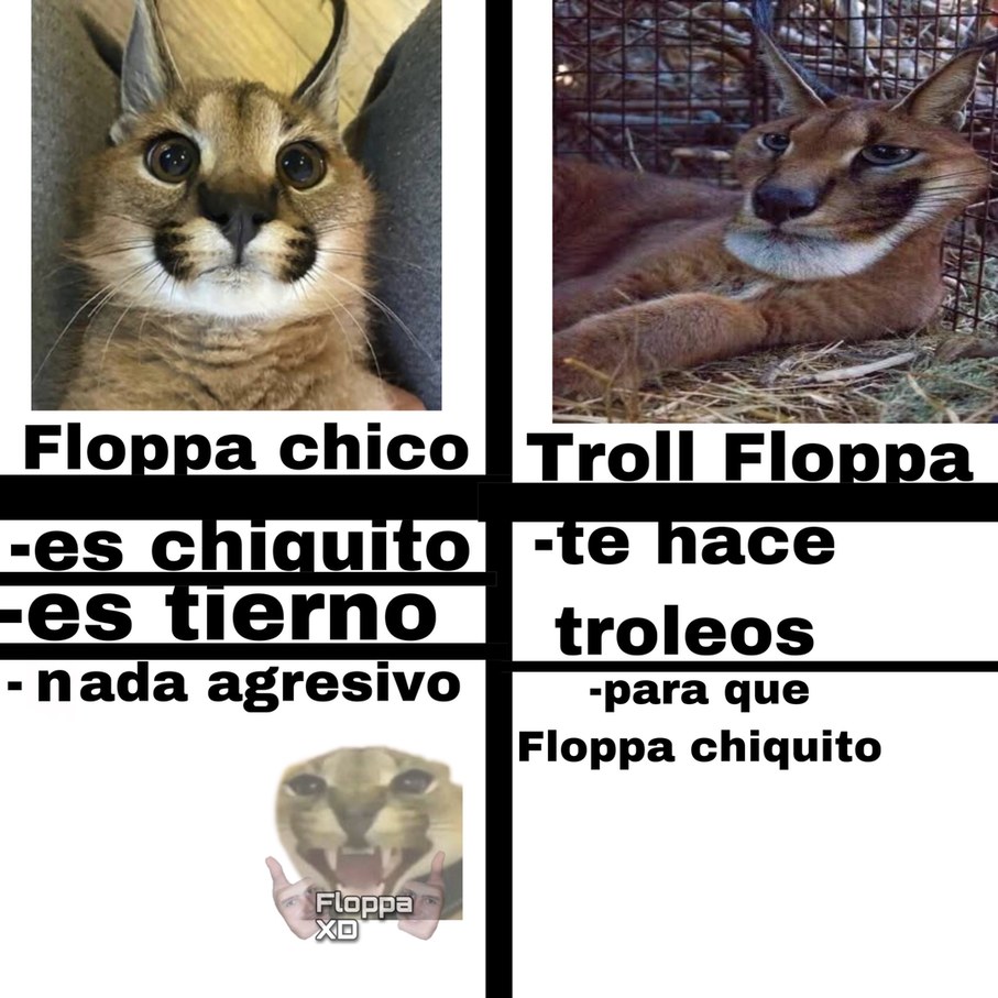 es mejor un Troll Floppa - Meme by EderXD :) Memedroid