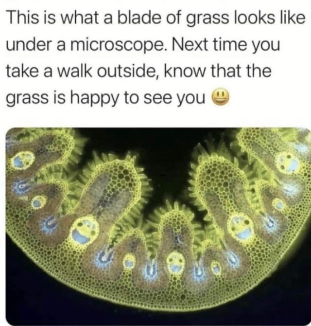 wholesome grass - meme