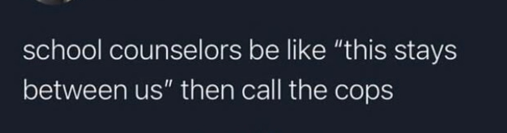 School counselors be like this stays between us then immediately call the cops - meme