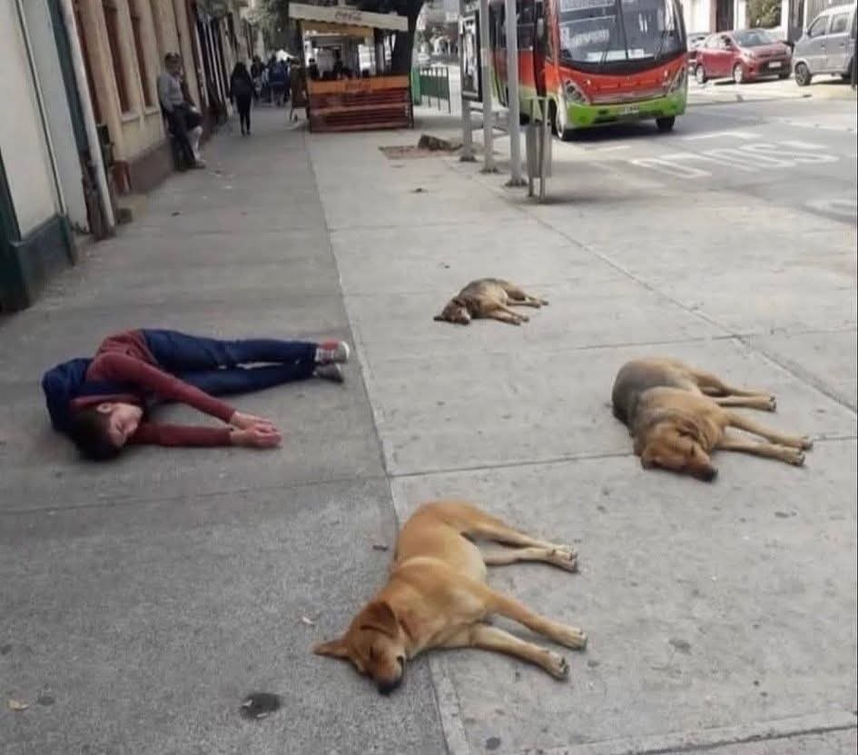 Descanso - meme