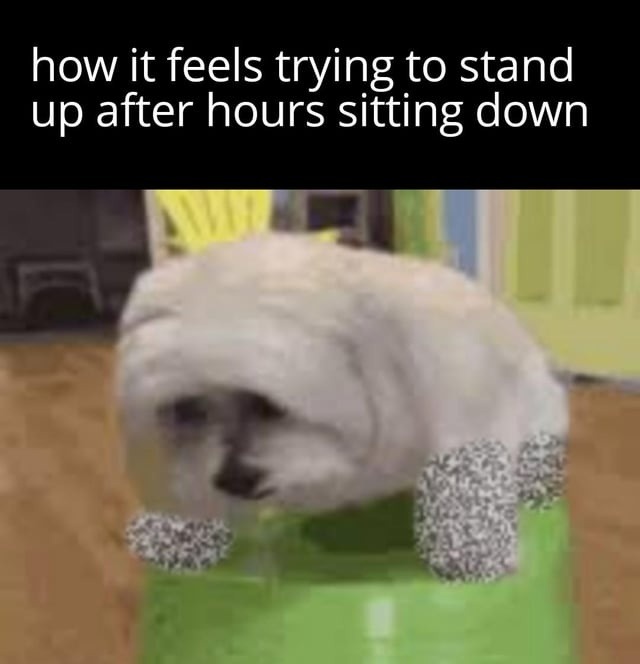 Standing up after 3 hours be like - meme