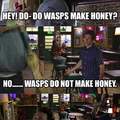 Wasp honey