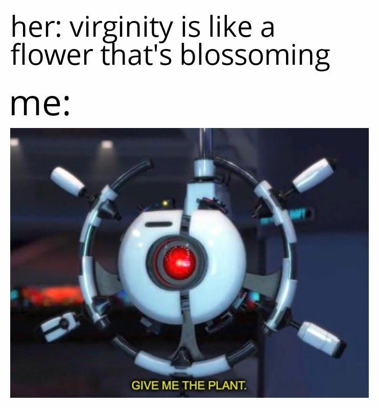 The plant. - meme