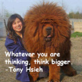 Think bigger dog