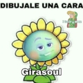 Girasoul