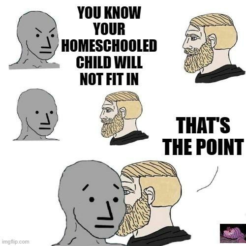 Public schools indoctrination station - meme