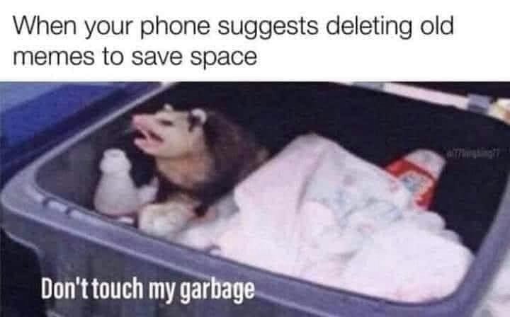 DON'T. TOUCH. MY. GARBAGE. *HISSSS - meme