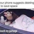 DON'T. TOUCH. MY. GARBAGE. *HISSSS