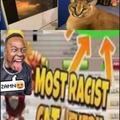 Gato racista