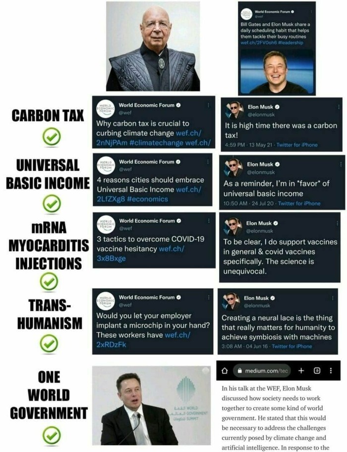 WEF vs Elon Musk - meme