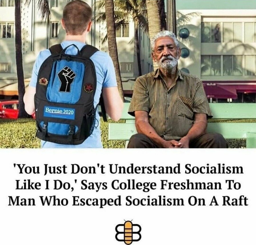 Understanding Socialism - meme