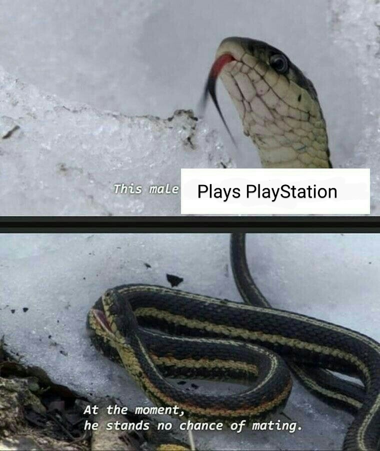 Playstation=gaystation - meme