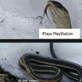 Playstation=gaystation