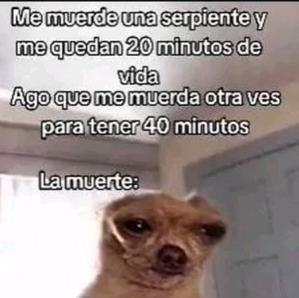 Bruh - meme
