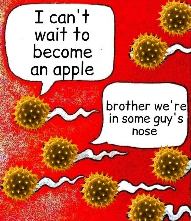 Sneezing bacteria just waiting for their big break - meme