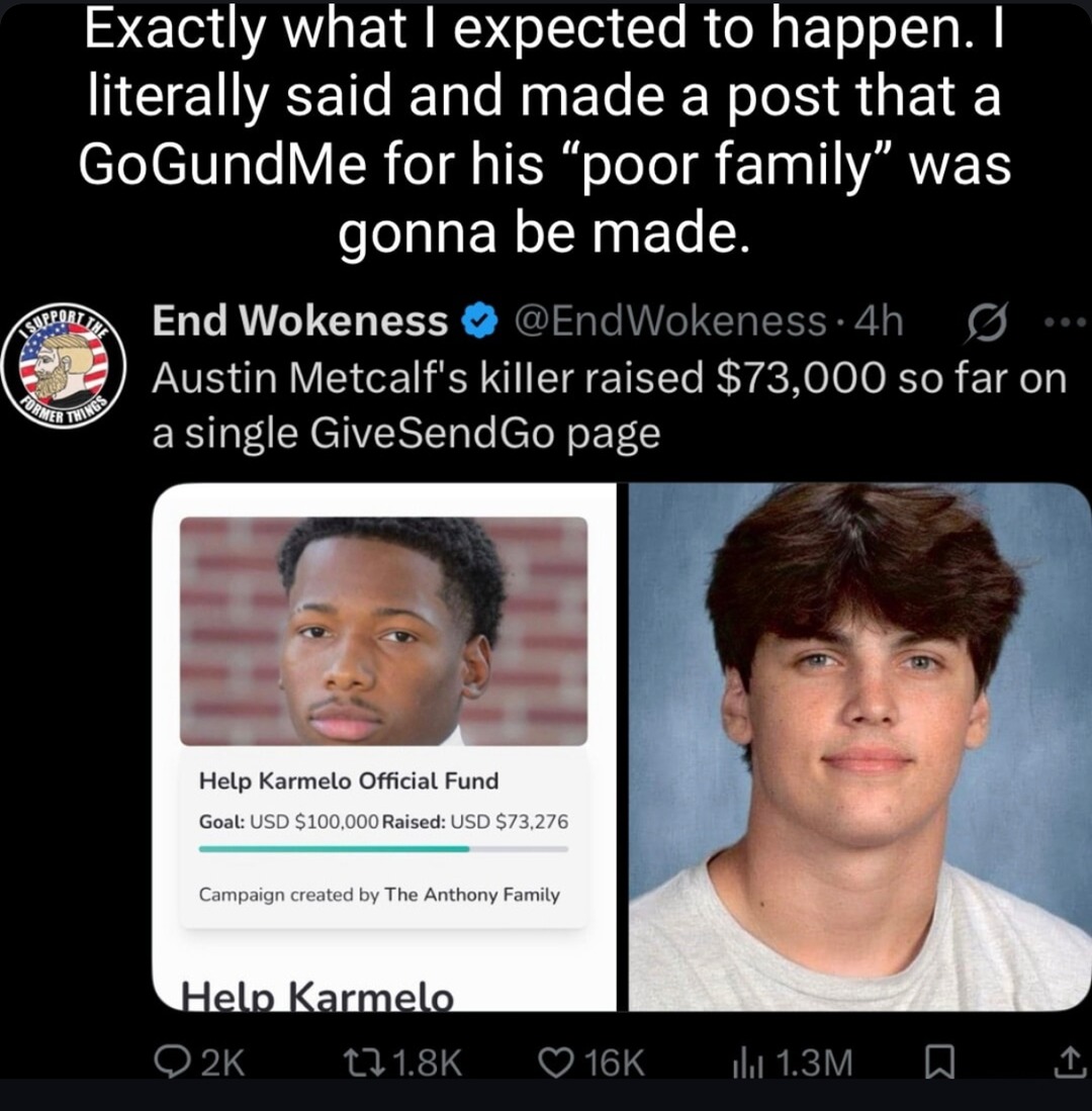 Plot twist: killer starts crowdfunding arc - meme