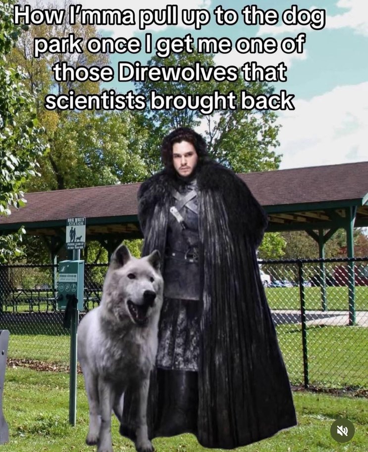 I should get a Direwolf - meme