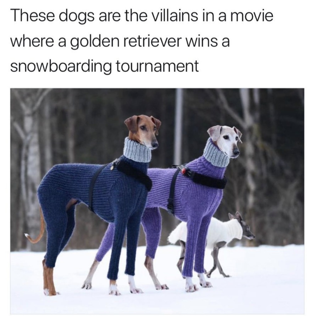 Doggo Mission Impossible - meme