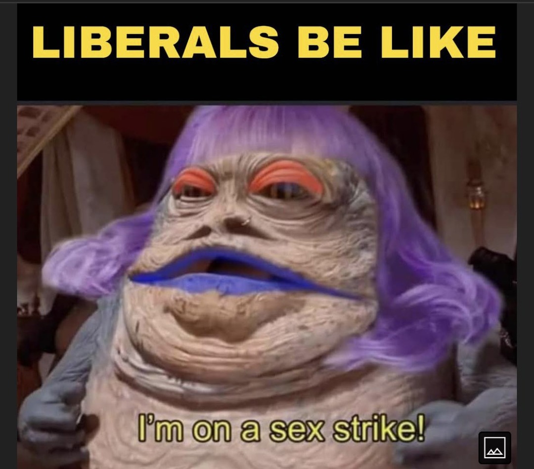 Liberals on sex strike are like - meme