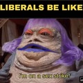 Liberals on sex strike are like
